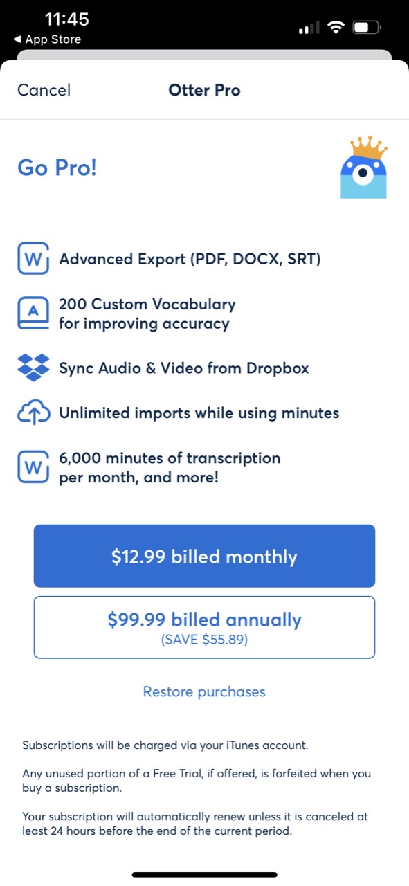 Otter Transcribe Voice Notes