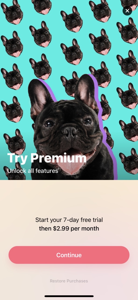 Patternator Video Wallpapers