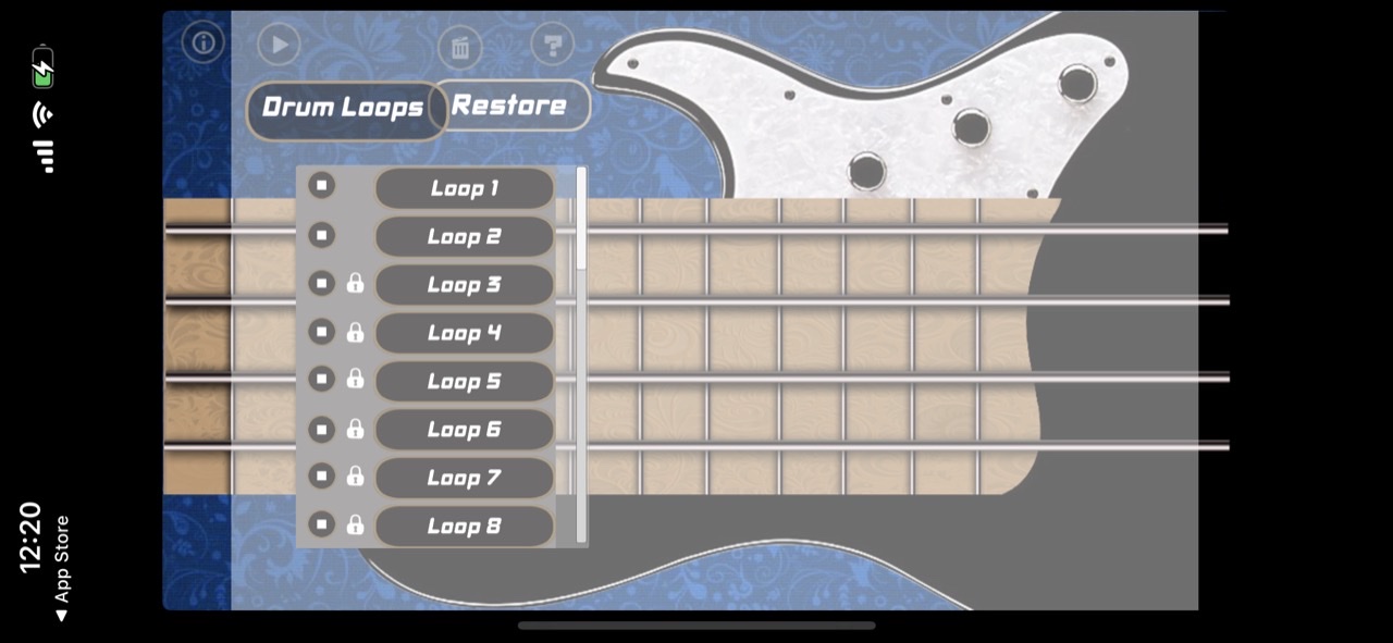 Electric Bass Guitar
