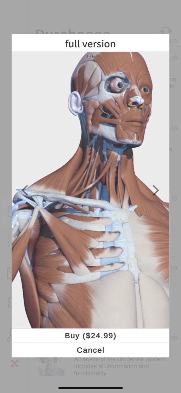 Visual Anatomy 3D - Human