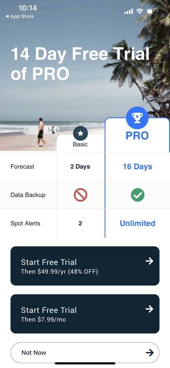 Lazy Surfer