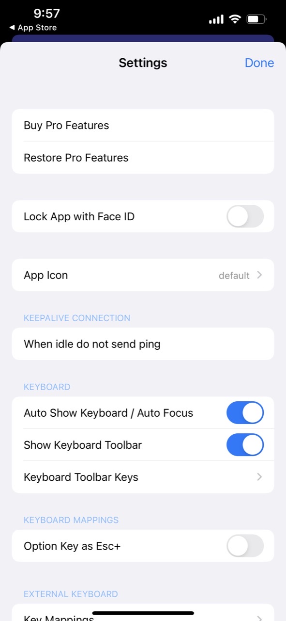 Secure Terminal