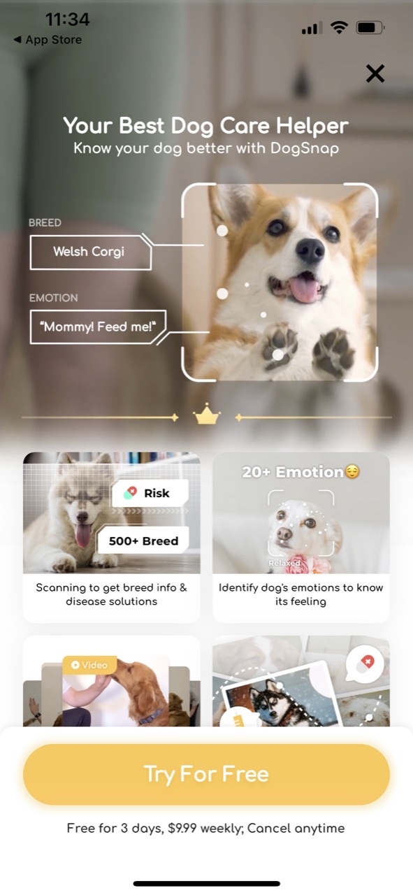 DogSnap:Dog breed scanner&Care