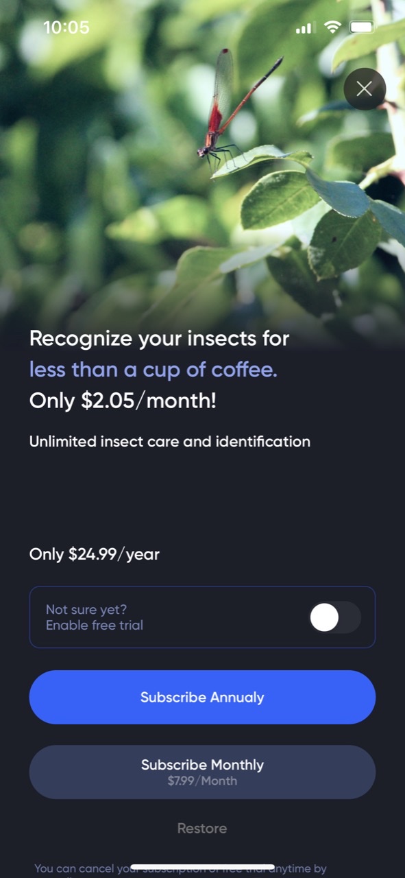Bug ID: Insect Identifier AI
