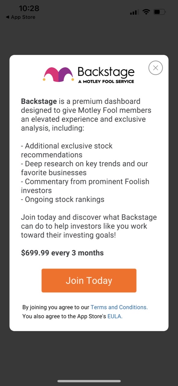 The Motley Fool