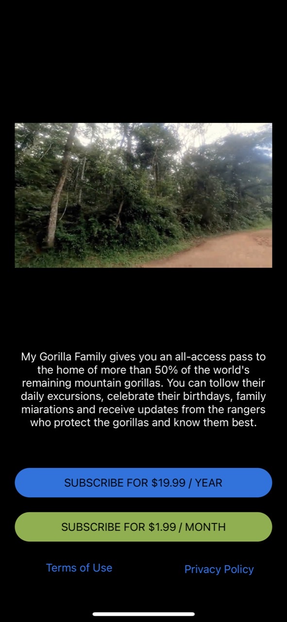 My Gorilla Family