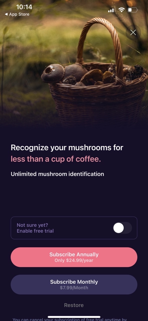 Mushroom ID: Fungus Identifier