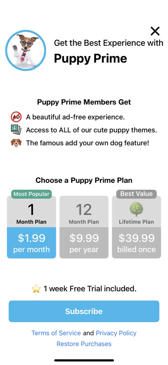 Weather Puppy Forecast + Radar
