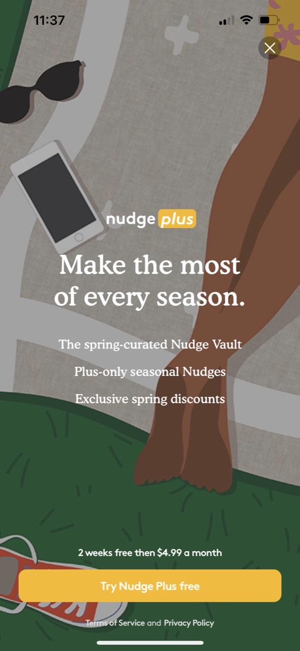 The Nudge