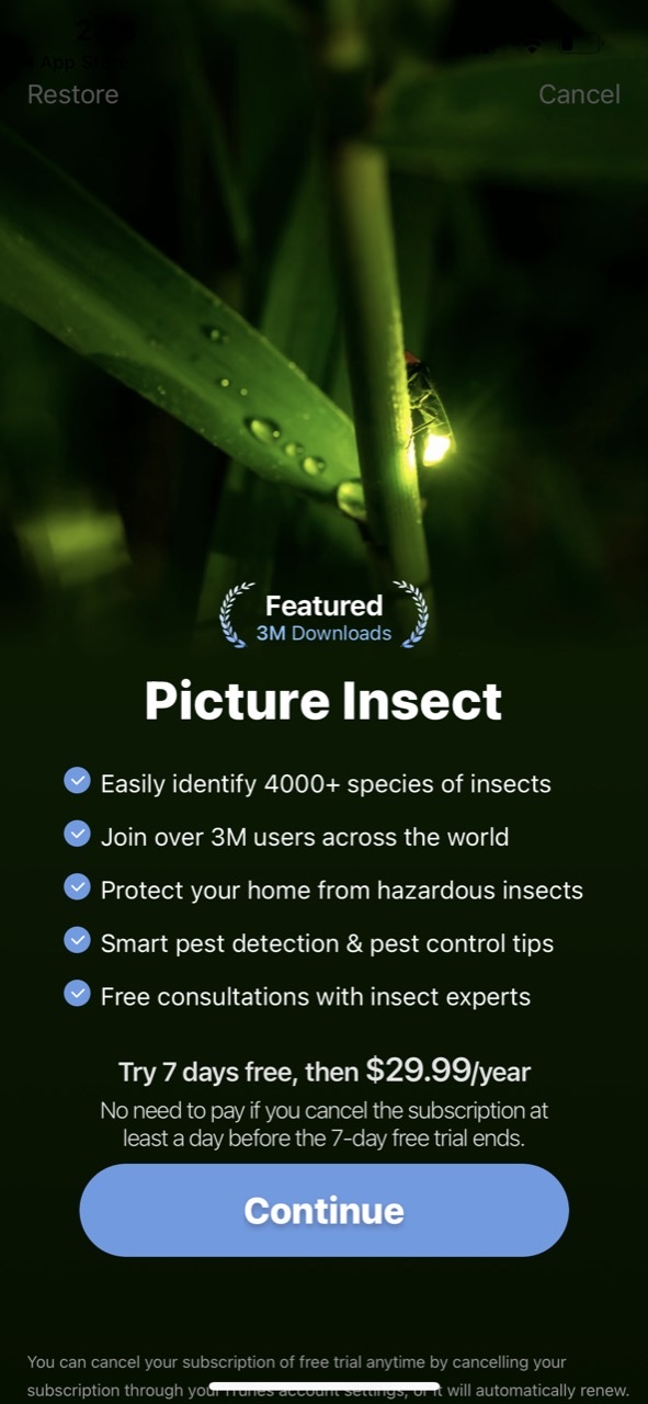 Picture Insect: Bug Identifier